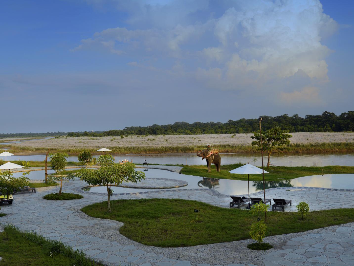 Meghauli Barahi Jungle Lodge מראה חיצוני תמונה